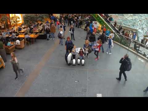 7D Hologram Technology Amazing Show Virtual Zoo