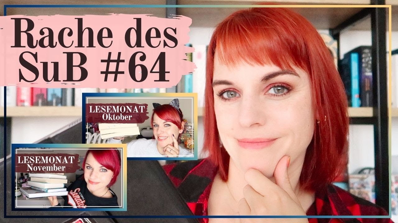 😱 RACHE DES SuB #64 📚 Oktober/November 2022 vs 2025