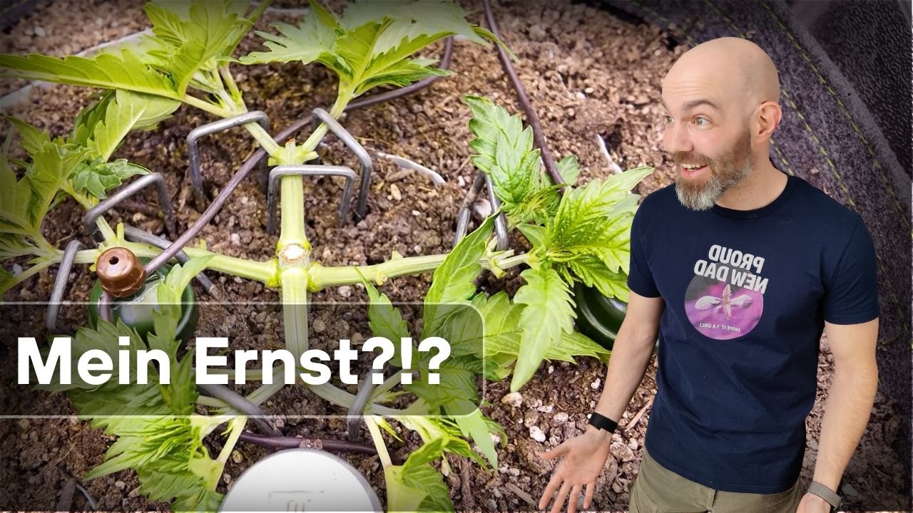 High(est) Stress Training - hält sie das aus?