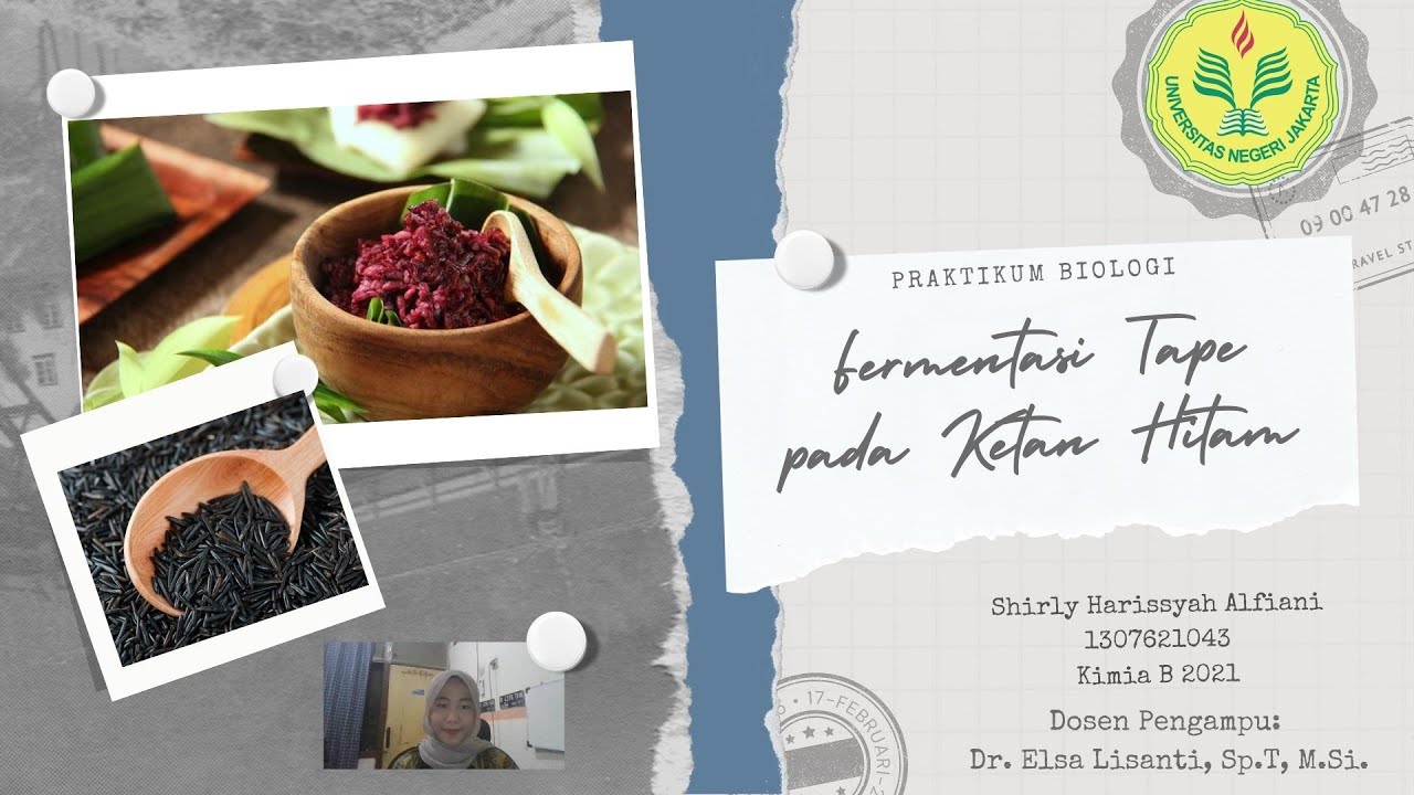 Shirly Harissyah Alfiani_1307621043_Fermentasi Tape (Ketan Hitam) YouTube