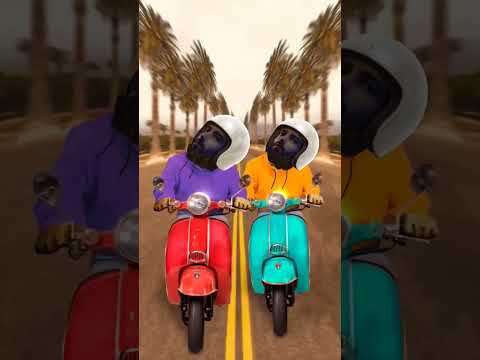 متي اشوفك ياقلبي اطمنت كامله