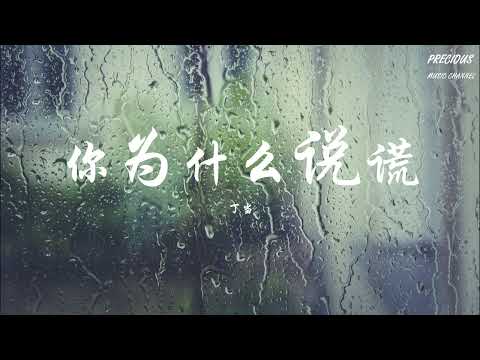 你为什么说谎 - 丁当Della 「你不能说我没有爱过  说我没等过难过」【动态歌词】(《下一站，幸福》电视剧插曲)