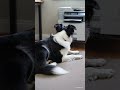 Printer Demon Summoning
