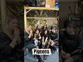 Was die Punk Tauben @pigeons.berlin zu erzählen haben, alles im Interview out now