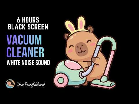 VACUUM CLEANER Sound - 6 Hours Black Screen | White Noise Sounds - Sleep, Study or Soothe a Baby