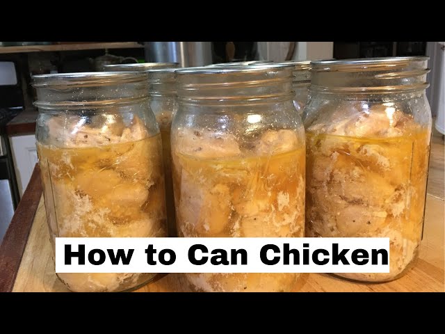 Canning Chicken (How to do it Safely) • The Prairie Homestead
