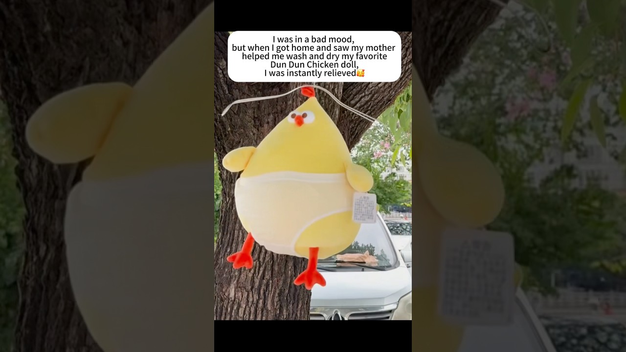 🐔💤Dundun Chicken Lazy Plush!