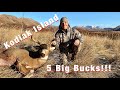 S20Ep1: Self Guided Blacktail Hunt on Kodiak Island! 5 Bucks!!!