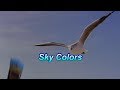 Quick Tip 202 - Sky Colors