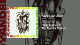 There She Goes- Ziggy Marley and the Melody Makers | Joy and Blues (1993) chords