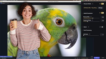 How YOU Should Use Sharpen AI as a LIGHTROOM PLUGIN