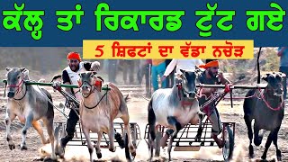 Best Ox Race | All Shift Race | Phallewal ( Ludhiana ) 15-May -2024