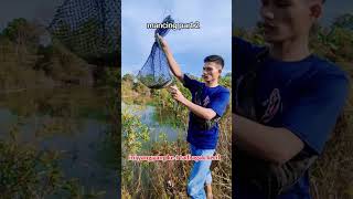 casting ikan gabus rawa mantap