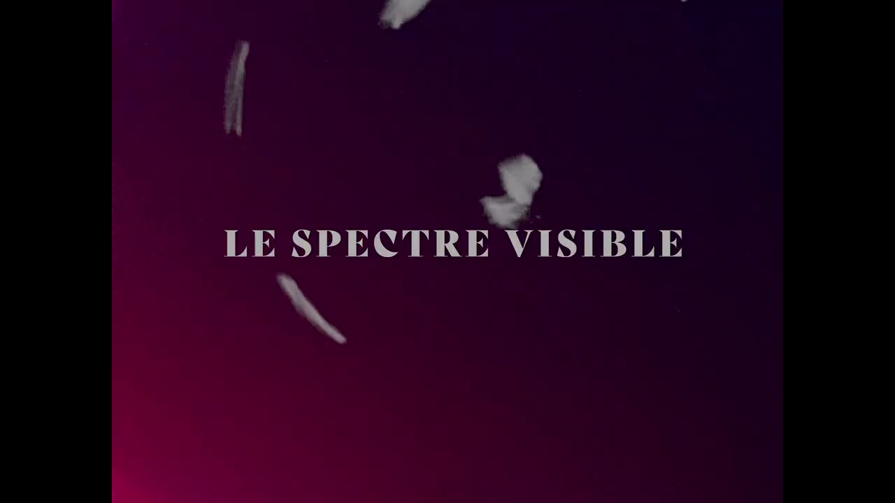 The Visible Spectrum Trailer - Sheffield DocFest 2022