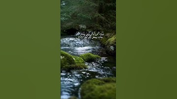فَقُلْتُ اسْتَغْفِرُوا رَبَّكُمْ إِنَّهُ كَانَ غَفَّارًا (10) | سورة نوح بصوت الحصري #قرآن
