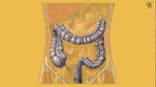 Idrocolonterapia Ovvero Colonidroterapia Secondo Amicit