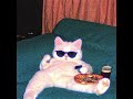 UKG mix w/ chill cat