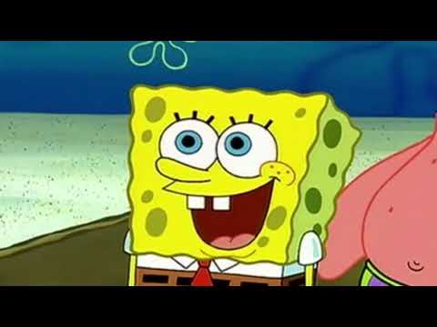 스폰지밥 바보상자