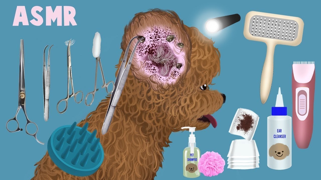 Tick removal Asmr in dog🐕|Tick removal treatment Asmr Video|Tick removal Animation Video