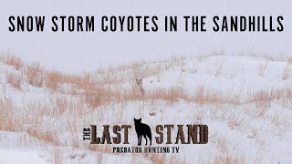 Snow Storm Coyotes in the Sandhills | The Last Stand S3:E2