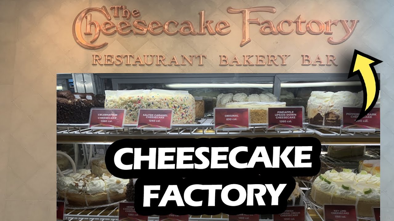 🍮 Vlog na Cheesecake Factory Vídeo 55 YouTube