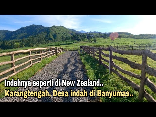 Ada peternakan domba mirip di New Zealand || ini dia desa indah di banyumas jawa tengah. class=
