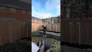 Tree Down Subscribe For Price Reveal Soon