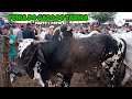 Feira do Gado de Tabira-PE com muita Lama dia 06/07 Pátio