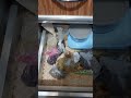 تعالو جوله ف مطبخي زي ماطلبتو تعالو جوله ف مطبخي زي ماطلبتو