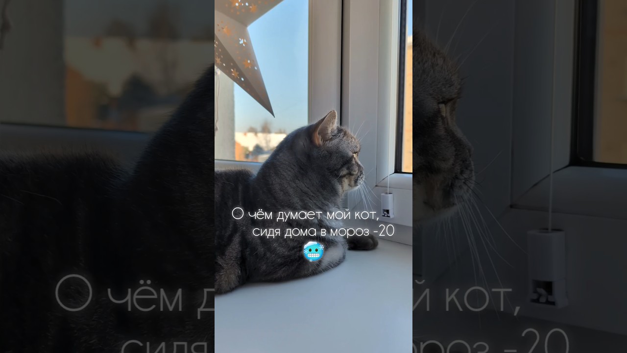 братва, держись 🥶 