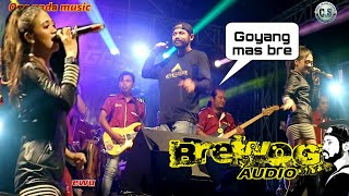 Kenangan Brewog Audio Orkesan Bersama One nada live sumbersewu.
