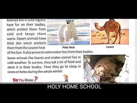 Class 4 science chapter 3 part 1 - YouTube