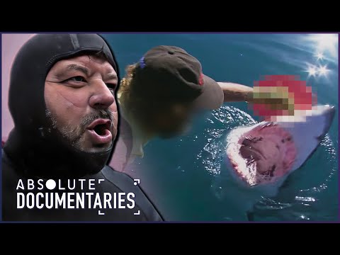 DEEP WHITE: THE CONTROVERSY BEHIND BAITING GREAT WHITE SHARKS