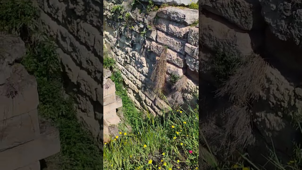 Elefsina Mystery sanctuar Demetris Persephona - ancestral & celestial transmissions  (April 2025)