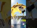 Naughty Cat Eats Tiger S Goldfish Puppy Creates A Monster Shark Cuteanimals Animation Catvsdog