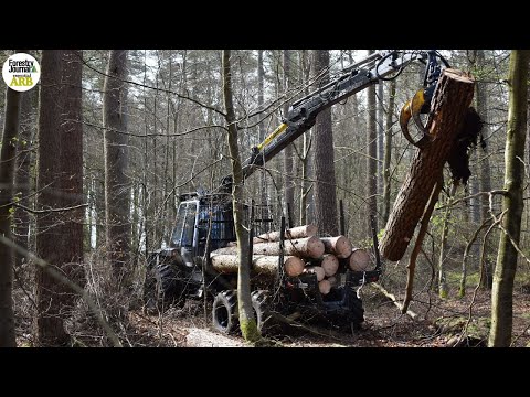 What does the future hold for low-impact machinery in forestry?