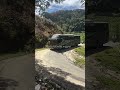 ALS HUTAN UJUNG GADING