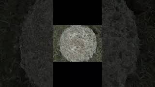 Exposed Stone Microlith c.1921