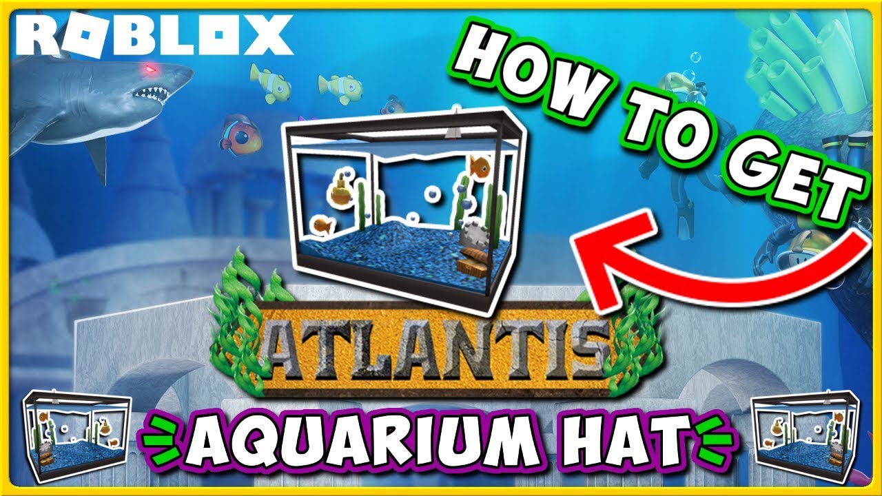 Roblox Atlantis Event How To Get Aquarium Hat In Sharkbite Jixxyjax Youtube - roblox aquarium hat