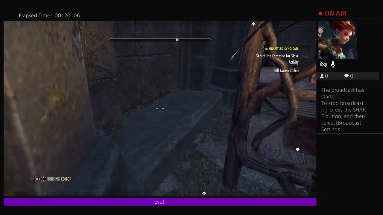 ESO House Decorating YouTube