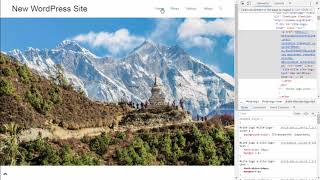 How to change the font size of site title and navigation menu in WordPress