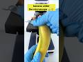 Banana Looks Amazing Under a Microscope 😯🔬 #shorts #shockingfacts #microscope #banana #funny