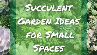 Garden Ideas For Small Spaces