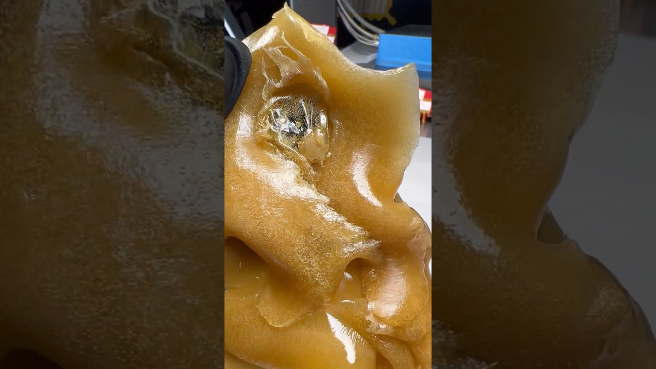 Collection is one of the best times to admire your work😤 rosin prosessed using Rosin Evolution gear