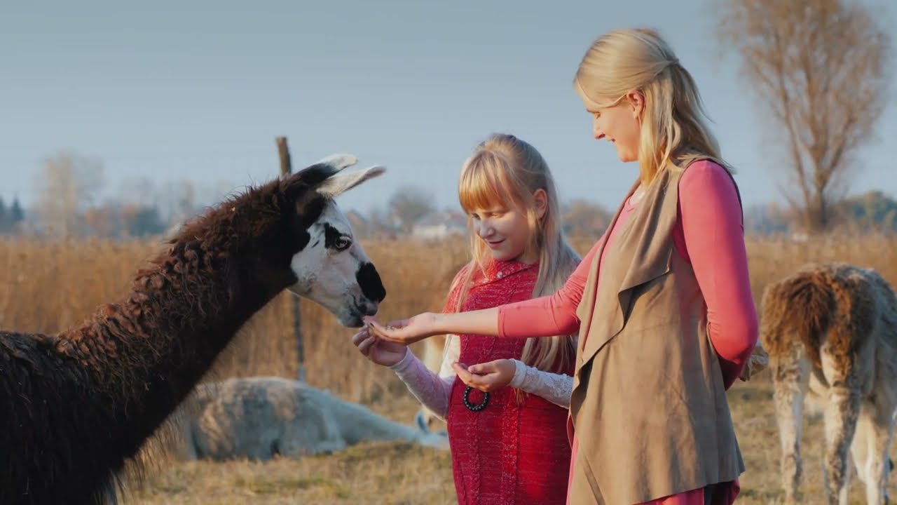 American Farm Trail App - Set up a location