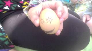 The Chronicles of Egg-Trailer