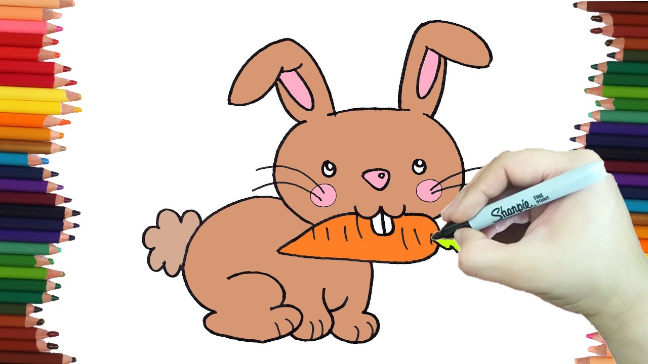 como dibujar un conejo, como dibujar un conejo facil, como dibujar un c...
