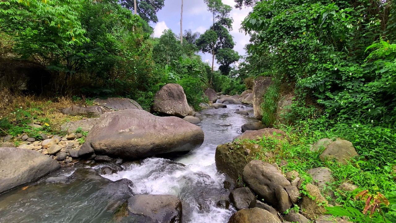 🌿Fall Into Restful Sleep with Calm River Sounds & Sunlit Woodland Water Scenery