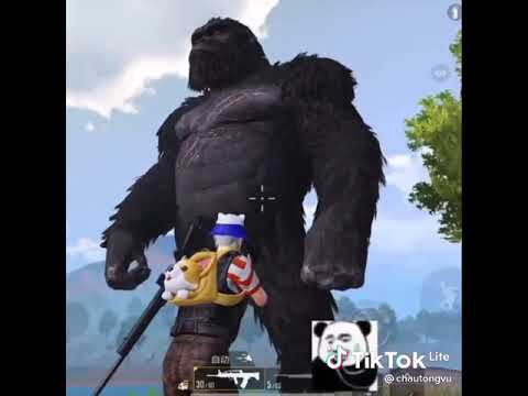 Yeni Mod - YouTube