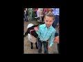 Ref:5CFKw_TC7hM Cluxon &amp; son's umbarger show feeds 2019 video